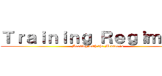 Ｔｒａｉｎｉｎｇ Ｒｅｇｉｍｅｎｔ (Meeting with the Mentor/s)