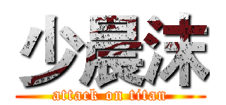 少晨沫 (attack on titan)