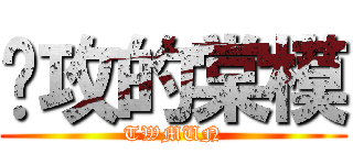 进攻的棠模 (TWMUN)