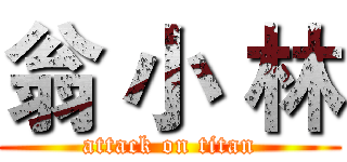 翁 小 林 (attack on titan)