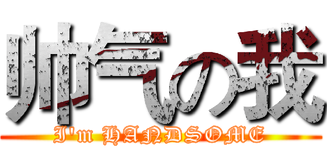 帅气の我 (I'm HANDSOME)