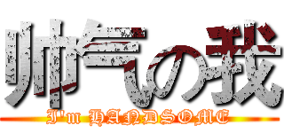 帅气の我 (I'm HANDSOME)