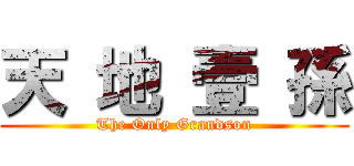 天 地 壹 孫 (The Only Grandson)