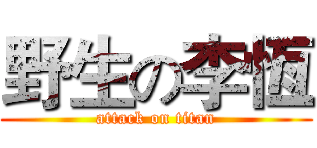 野生の李恆 (attack on titan)