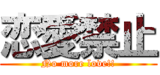 恋愛禁止 (No more love!!)