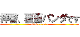 拝啓、覆面パンダです (attack on panda)