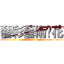 藝彩藝術焰花 (藝彩藝術焰花)