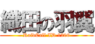 織田の羽翼 (RaidCall ID 1206)