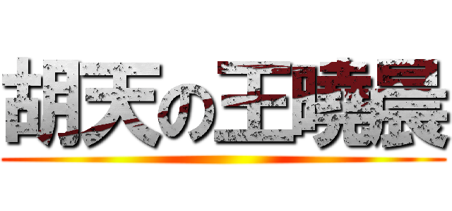 胡天の王曉晨 ()