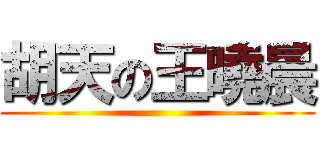 胡天の王曉晨 ()
