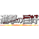 進撃の巨好 (attack on titan)