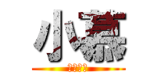 小慕 (慕斯蛋糕)