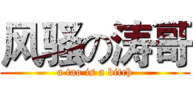 风骚の涛哥 (a tao is a bitch)