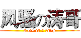 风骚の涛哥 (a tao is a bitch)