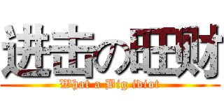 进击の旺财 (What a Big idiot)