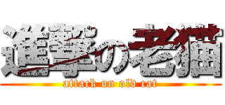 進撃の老猫 (attack on old cat)