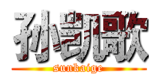 孙凯歌 (sunkaige)