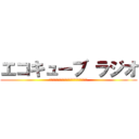 エコキューブ ラジオ (今月の給料がかかってますホント買ってください)