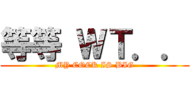 等等 ＷＴ．． (MY COCK IS BIG)