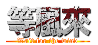 等風來 (Wait for the wind)