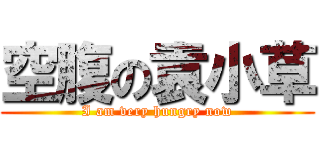 空腹の袁小草 (I am very hungry now)