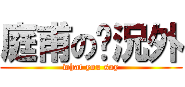 庭甫の狀況外 (what you say)