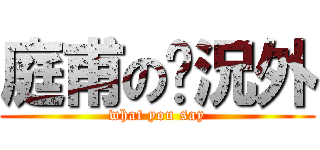 庭甫の狀況外 (what you say)