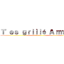 Ｔ'ｅｓ ｇｒｉｌｌé Ａｒｍｉｎ  (Frolaaine)