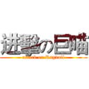 进擊の巨喵 (attack on Ragdoll)
