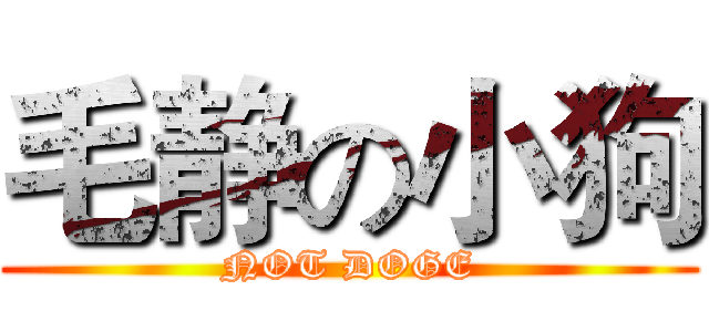 毛静の小狗 (NOT DOGE)