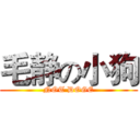 毛静の小狗 (NOT DOGE)