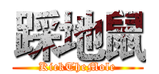 踩地鼠 (KickTheMole)