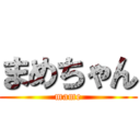 まめちゃん (mame)