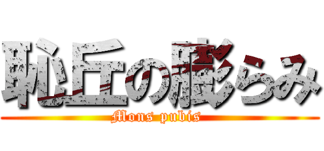 恥丘の膨らみ (Mons pubis )