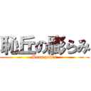 恥丘の膨らみ (Mons pubis )