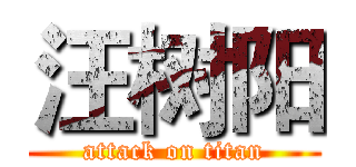 汪树阳 (attack on titan)