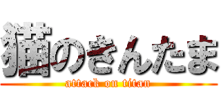 猫のきんたま (attack on titan)