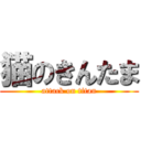 猫のきんたま (attack on titan)