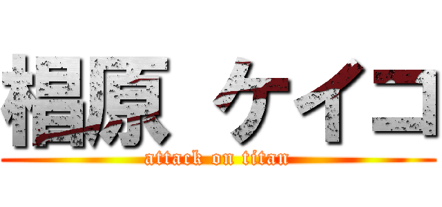 椙原 ケイコ (attack on titan)