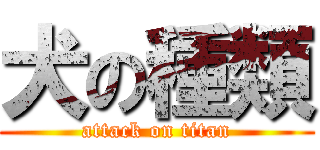 犬の種類 (attack on titan)