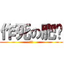 作死の肥莹 (龟玉)