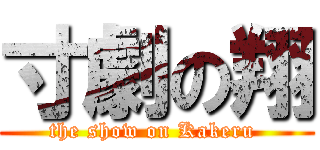 寸劇の翔 (the show on Kakeru )