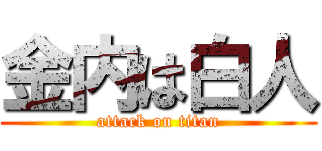 金内は白人 (attack on titan)