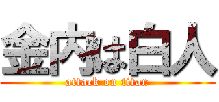 金内は白人 (attack on titan)