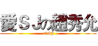 愛ＳＪの趙秀允 (<3SJ)