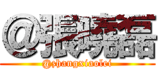 ＠張曉磊 (@zhangxiaolei)