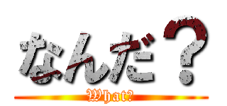 なんだ？ (What?)