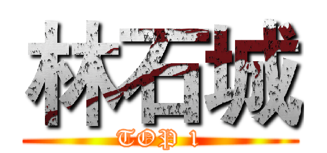 林石城 (TOP 1)
