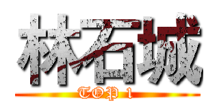 林石城 (TOP 1)