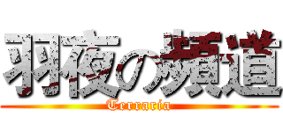 羽夜の頻道 (Terraria)